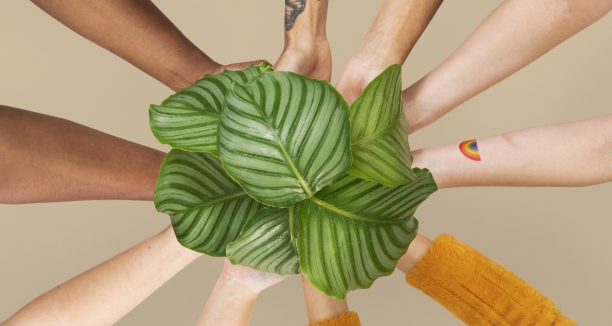 hands-cupping-plant-save-the-environment-campaign